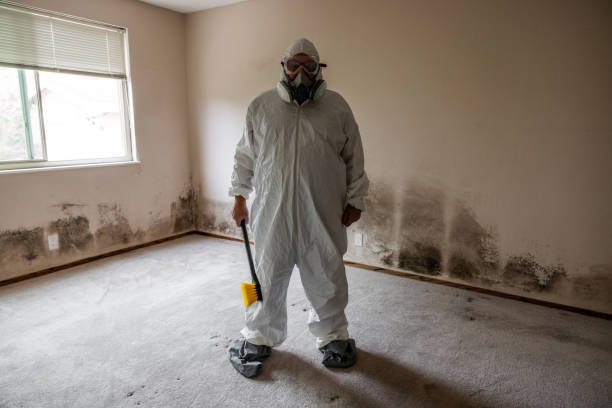 Best Commercial Mold Removal  in Catalina Foothills, AZ